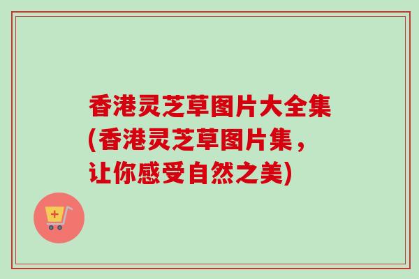 香港灵芝草图片大全集(香港灵芝草图片集,让你感受自然之美)-第1张图片-卓越灵芝孢子粉 香港灵芝草图片大全集(香港灵芝草图片集,让你感受自然之美)-第1张图片-卓越灵芝孢子粉