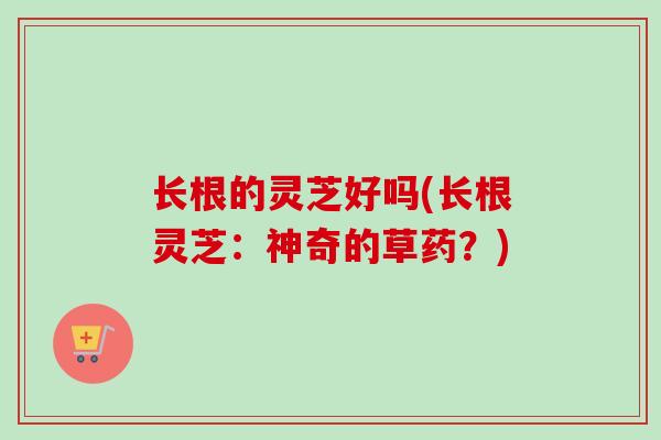 长根的灵芝好吗(长根灵芝:神奇的草药?)-第1张图片-卓越灵芝孢子粉 长根的灵芝好吗(长根灵芝:神奇的草药?)-第1张图片-卓越灵芝孢子粉