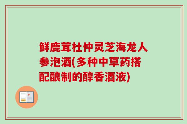 鲜鹿茸杜仲灵芝海龙人参泡酒(多种中草药搭配酿制的醇香酒液)-第1张图片-卓越灵芝孢子粉 鲜鹿茸杜仲灵芝海龙人参泡酒(多种中草药搭配酿制的醇香酒液)-第1张图片-卓越灵芝孢子粉