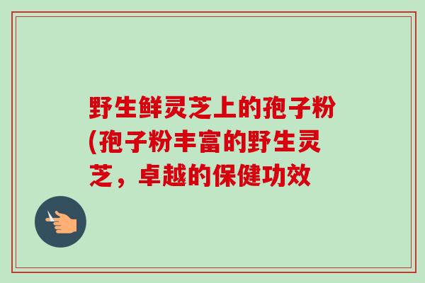 野生鲜灵芝上的孢子粉(孢子粉丰富的野生灵芝,卓越的保健功效-第1张图片-卓越灵芝孢子粉 野生鲜灵芝上的孢子粉(孢子粉丰富的野生灵芝,卓越的保健功效-第1张图片-卓越灵芝孢子粉