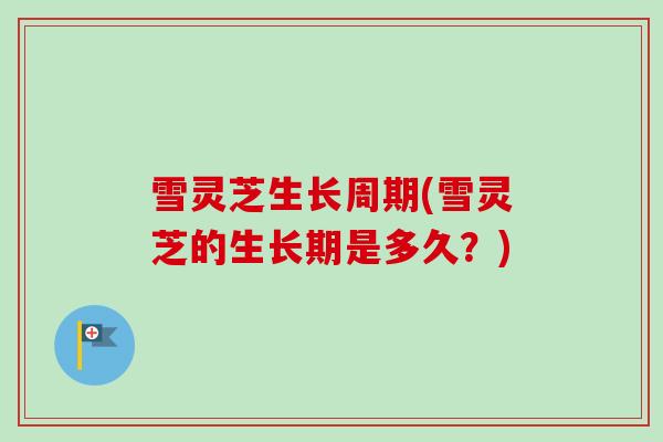 雪灵芝生长周期(雪灵芝的生长期是多久？)-第1张图片-卓越灵芝孢子粉