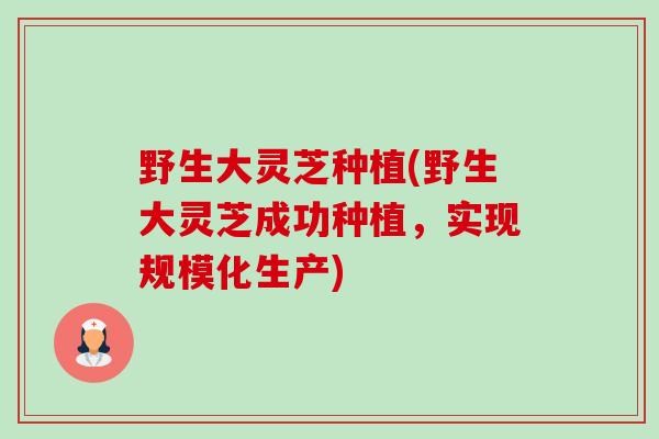 野生大灵芝种植(野生大灵芝成功种植,实现规模化生产)-第1张图片-卓越灵芝孢子粉 野生大灵芝种植(野生大灵芝成功种植,实现规模化生产)-第1张图片-卓越灵芝孢子粉