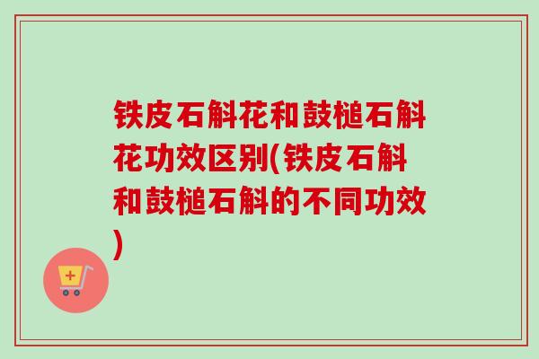铁皮石斛花和鼓槌石斛花功效区别(铁皮石斛和鼓槌石斛的不同功效)-第1张图片-卓越灵芝孢子粉 铁皮石斛花和鼓槌石斛花功效区别(铁皮石斛和鼓槌石斛的不同功效)-第1张图片-卓越灵芝孢子粉