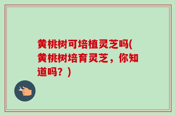 黄桃树可培植灵芝吗(黄桃树培育灵芝，你知道吗？)-第1张图片-卓越灵芝孢子粉