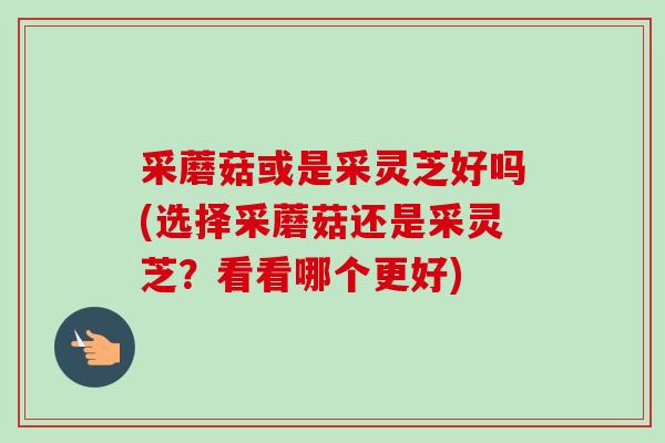 采蘑菇或是采灵芝好吗(选择采蘑菇还是采灵芝?看看哪个更好)-第1张图片-卓越灵芝孢子粉 采蘑菇或是采灵芝好吗(选择采蘑菇还是采灵芝?看看哪个更好)-第1张图片-卓越灵芝孢子粉