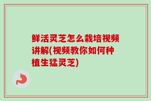 鲜活灵芝怎么栽培视频讲解(视频教你如何种植生猛灵芝)-第1张图片-卓越灵芝孢子粉 鲜活灵芝怎么栽培视频讲解(视频教你如何种植生猛灵芝)-第1张图片-卓越灵芝孢子粉