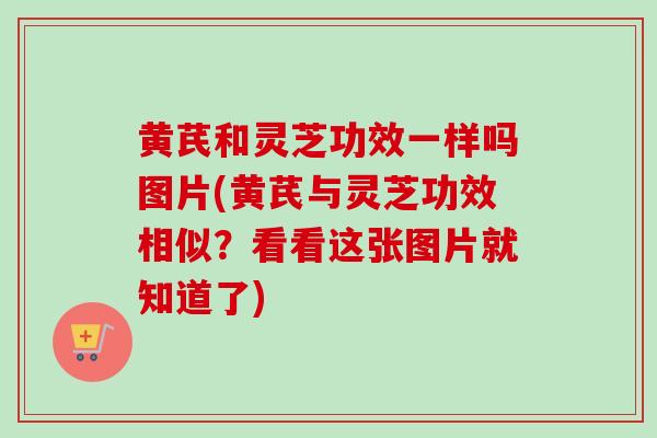 黄芪和灵芝功效一样吗图片(黄芪与灵芝功效相似?看看这张图片就知道了)-第1张图片-卓越灵芝孢子粉 黄芪和灵芝功效一样吗图片(黄芪与灵芝功效相似?看看这张图片就知道了)-第1张图片-卓越灵芝孢子粉