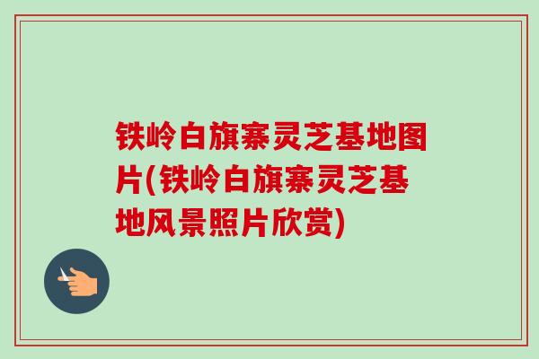 铁岭白旗寨灵芝基地图片(铁岭白旗寨灵芝基地风景照片欣赏)-第1张图片-卓越灵芝孢子粉 铁岭白旗寨灵芝基地图片(铁岭白旗寨灵芝基地风景照片欣赏)-第1张图片-卓越灵芝孢子粉