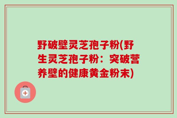 野破壁灵芝孢子粉(野生灵芝孢子粉：突破营养壁的健康黄金粉末)-第1张图片-卓越灵芝孢子粉