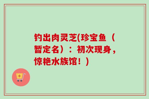 钓出肉灵芝(珍宝鱼(暂定名):初次现身,惊艳水族馆!)-第1张图片-卓越灵芝孢子粉 钓出肉灵芝(珍宝鱼(暂定名):初次现身,惊艳水族馆!)-第1张图片-卓越灵芝孢子粉