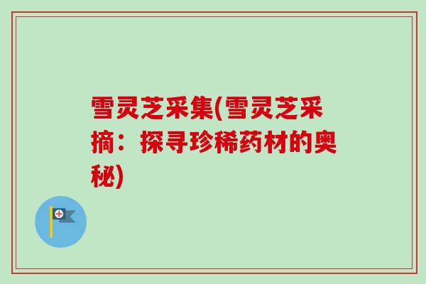 雪灵芝采集(雪灵芝采摘：探寻珍稀药材的奥秘)-第1张图片-卓越灵芝孢子粉