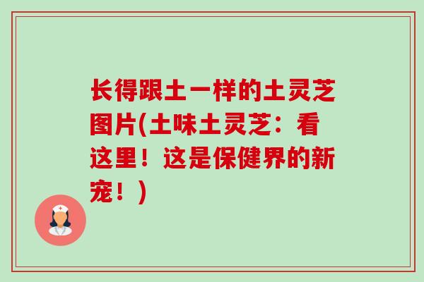 长得跟土一样的土灵芝图片(土味土灵芝:看这里!这是保健界的新宠!)-第1张图片-卓越灵芝孢子粉 长得跟土一样的土灵芝图片(土味土灵芝:看这里!这是保健界的新宠!)-第1张图片-卓越灵芝孢子粉