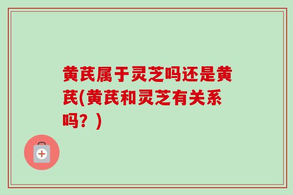 黄芪属于灵芝吗还是黄芪(黄芪和灵芝有关系吗?)-第1张图片-卓越灵芝孢子粉 黄芪属于灵芝吗还是黄芪(黄芪和灵芝有关系吗?)-第1张图片-卓越灵芝孢子粉