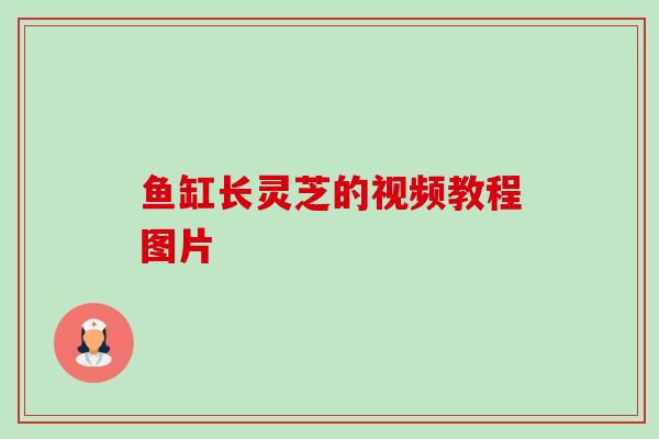 鱼缸长灵芝的视频教程图片-第1张图片-卓越灵芝孢子粉