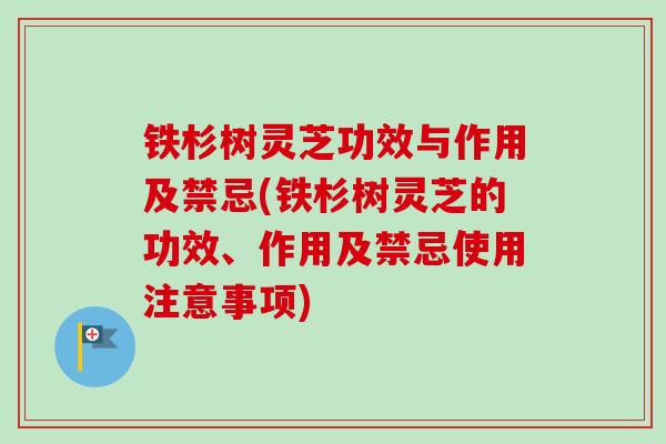 铁杉树灵芝功效与作用及禁忌(铁杉树灵芝的功效、作用及禁忌使用注意事项)-第1张图片-卓越灵芝孢子粉 铁杉树灵芝功效与作用及禁忌(铁杉树灵芝的功效、作用及禁忌使用注意事项)-第1张图片-卓越灵芝孢子粉