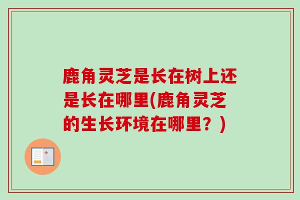鹿角灵芝是长在树上还是长在哪里(鹿角灵芝的生长环境在哪里?)-第1张图片-卓越灵芝孢子粉 鹿角灵芝是长在树上还是长在哪里(鹿角灵芝的生长环境在哪里?)-第1张图片-卓越灵芝孢子粉