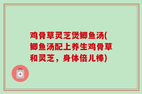 鸡骨草灵芝煲鲫鱼汤(鲫鱼汤配上养生鸡骨草和灵芝,身体倍儿棒)-第1张图片-卓越灵芝孢子粉 鸡骨草灵芝煲鲫鱼汤(鲫鱼汤配上养生鸡骨草和灵芝,身体倍儿棒)-第1张图片-卓越灵芝孢子粉