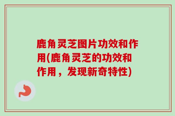 鹿角灵芝图片功效和作用(鹿角灵芝的功效和作用,发现新奇特性)-第1张图片-卓越灵芝孢子粉 鹿角灵芝图片功效和作用(鹿角灵芝的功效和作用,发现新奇特性)-第1张图片-卓越灵芝孢子粉