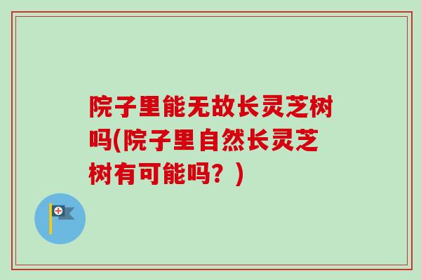 院子里能无故长灵芝树吗(院子里自然长灵芝树有可能吗？)-第1张图片-卓越灵芝孢子粉