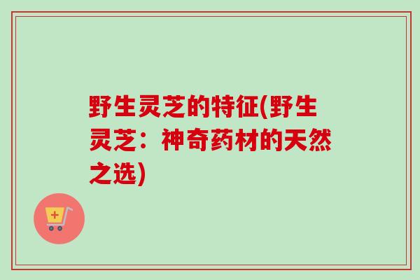 野生灵芝的特征(野生灵芝:神奇药材的天然之选)-第1张图片-卓越灵芝孢子粉 野生灵芝的特征(野生灵芝:神奇药材的天然之选)-第1张图片-卓越灵芝孢子粉