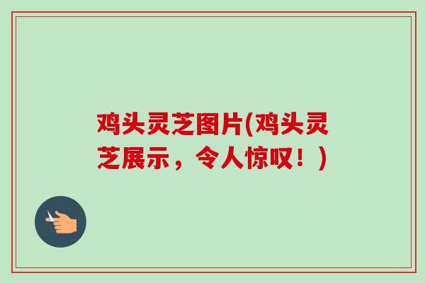 鸡头灵芝图片(鸡头灵芝展示，令人惊叹！)-第1张图片-卓越灵芝孢子粉