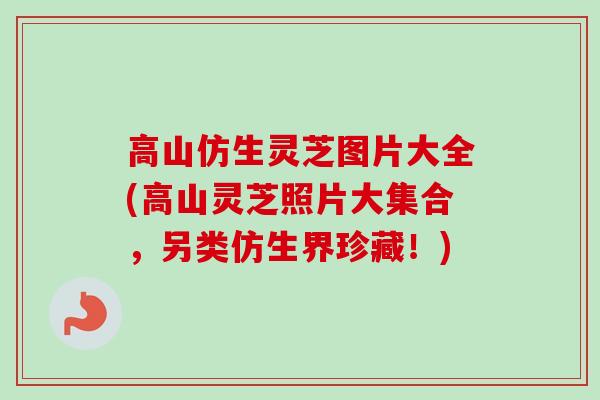 高山仿生灵芝图片大全(高山灵芝照片大集合,另类仿生界珍藏!)-第1张图片-卓越灵芝孢子粉 高山仿生灵芝图片大全(高山灵芝照片大集合,另类仿生界珍藏!)-第1张图片-卓越灵芝孢子粉