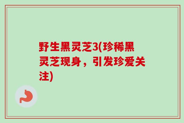 野生黑灵芝3(珍稀黑灵芝现身，引发珍爱关注)-第1张图片-卓越灵芝孢子粉