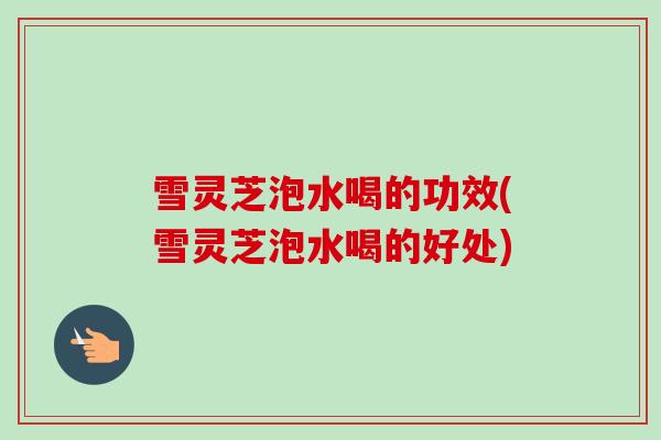 雪灵芝泡水喝的功效(雪灵芝泡水喝的好处)-第1张图片-卓越灵芝孢子粉