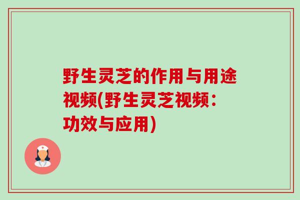 野生灵芝的作用与用途视频(野生灵芝视频：功效与应用)-第1张图片-卓越灵芝孢子粉