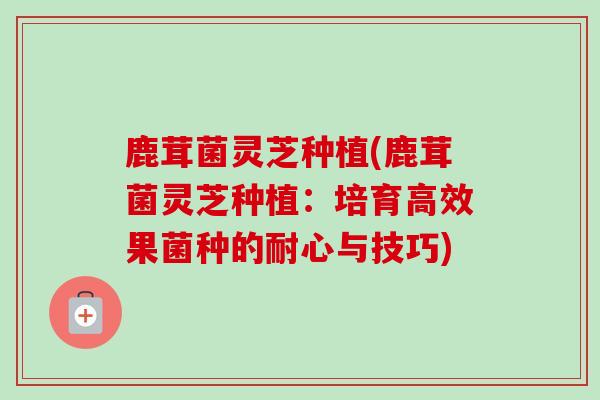 鹿茸菌灵芝种植(鹿茸菌灵芝种植:培育高效果菌种的耐心与技巧)-第1张图片-卓越灵芝孢子粉 鹿茸菌灵芝种植(鹿茸菌灵芝种植:培育高效果菌种的耐心与技巧)-第1张图片-卓越灵芝孢子粉