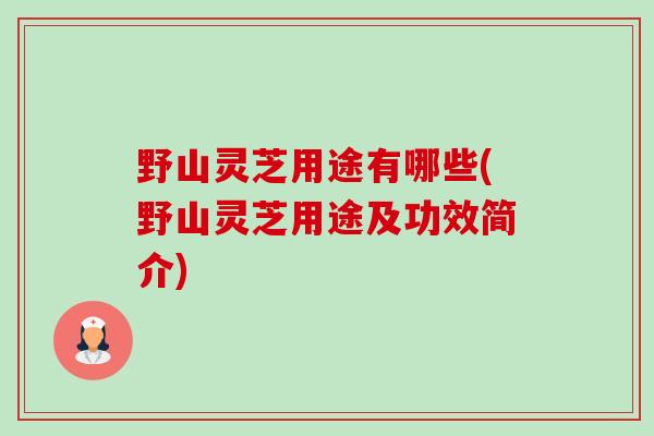 野山灵芝用途有哪些(野山灵芝用途及功效简介)-第1张图片-卓越灵芝孢子粉 野山灵芝用途有哪些(野山灵芝用途及功效简介)-第1张图片-卓越灵芝孢子粉