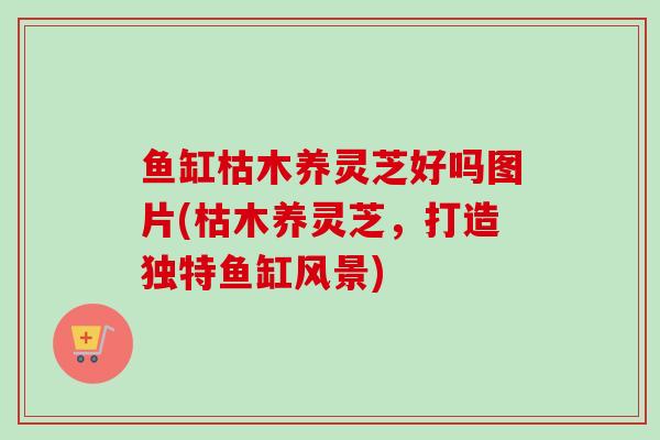 鱼缸枯木养灵芝好吗图片(枯木养灵芝，打造独特鱼缸风景)-第1张图片-卓越灵芝孢子粉