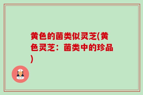 黄色的菌类似灵芝(黄色灵芝:菌类中的珍品)-第1张图片-卓越灵芝孢子粉 黄色的菌类似灵芝(黄色灵芝:菌类中的珍品)-第1张图片-卓越灵芝孢子粉