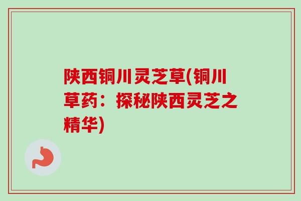 陕西铜川灵芝草(铜川草药:探秘陕西灵芝之精华)-第1张图片-卓越灵芝孢子粉 陕西铜川灵芝草(铜川草药:探秘陕西灵芝之精华)-第1张图片-卓越灵芝孢子粉