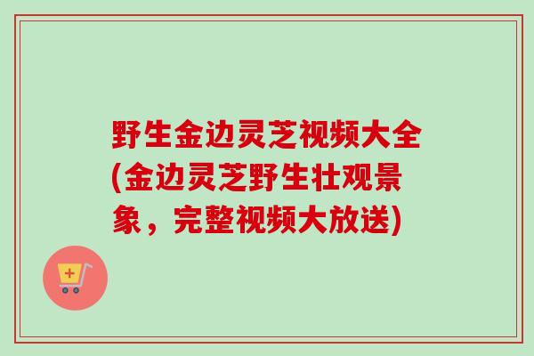 野生金边灵芝视频大全(金边灵芝野生壮观景象,完整视频大放送)-第1张图片-卓越灵芝孢子粉 野生金边灵芝视频大全(金边灵芝野生壮观景象,完整视频大放送)-第1张图片-卓越灵芝孢子粉