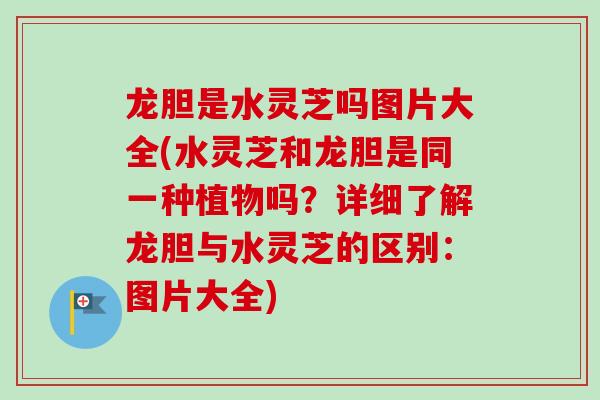 龙胆是水灵芝吗图片大全(水灵芝和龙胆是同一种植物吗？详细了解龙胆与水灵芝的区别：图片大全)-第1张图片-卓越灵芝孢子粉