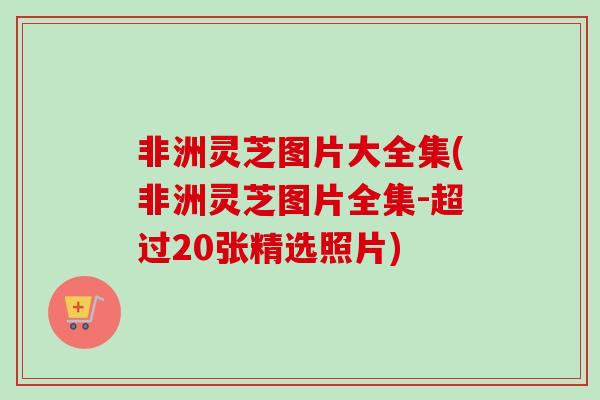 非洲灵芝图片大全集(非洲灵芝图片全集-超过20张精选照片)-第1张图片-卓越灵芝孢子粉 非洲灵芝图片大全集(非洲灵芝图片全集-超过20张精选照片)-第1张图片-卓越灵芝孢子粉