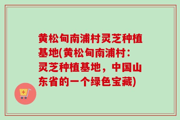 黄松甸南浦村灵芝种植基地(黄松甸南浦村:灵芝种植基地,中国山东省的一个绿色宝藏)-第1张图片-卓越灵芝孢子粉 黄松甸南浦村灵芝种植基地(黄松甸南浦村:灵芝种植基地,中国山东省的一个绿色宝藏)-第1张图片-卓越灵芝孢子粉