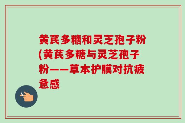 黄芪多糖和灵芝孢子粉(黄芪多糖与灵芝孢子粉——草本护膜对抗疲惫感-第1张图片-卓越灵芝孢子粉 黄芪多糖和灵芝孢子粉(黄芪多糖与灵芝孢子粉——草本护膜对抗疲惫感-第1张图片-卓越灵芝孢子粉