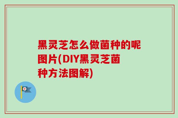 黑灵芝怎么做菌种的呢图片(DIY黑灵芝菌种方法图解)-第1张图片-卓越灵芝孢子粉 黑灵芝怎么做菌种的呢图片(DIY黑灵芝菌种方法图解)-第1张图片-卓越灵芝孢子粉