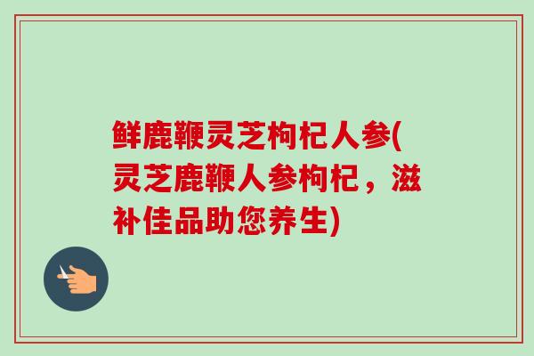 鲜鹿鞭灵芝枸杞人参(灵芝鹿鞭人参枸杞,滋补佳品助您养生)-第1张图片-卓越灵芝孢子粉 鲜鹿鞭灵芝枸杞人参(灵芝鹿鞭人参枸杞,滋补佳品助您养生)-第1张图片-卓越灵芝孢子粉