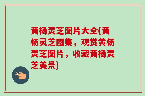 黄杨灵芝图片大全(黄杨灵芝图集,观赏黄杨灵芝图片,收藏黄杨灵芝美景)-第1张图片-卓越灵芝孢子粉 黄杨灵芝图片大全(黄杨灵芝图集,观赏黄杨灵芝图片,收藏黄杨灵芝美景)-第1张图片-卓越灵芝孢子粉