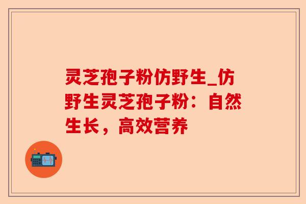 灵芝孢子粉仿野生_仿野生灵芝孢子粉:自然生长,高效营养-第1张图片-卓越灵芝孢子粉 灵芝孢子粉仿野生_仿野生灵芝孢子粉:自然生长,高效营养-第1张图片-卓越灵芝孢子粉