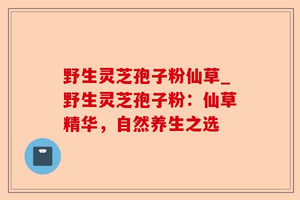 野生灵芝孢子粉仙草_野生灵芝孢子粉：仙草精华，自然养生之选-第1张图片-卓越灵芝孢子粉