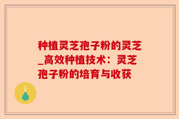 种植灵芝孢子粉的灵芝_高效种植技术:灵芝孢子粉的培育与收获-第1张图片-卓越灵芝孢子粉 种植灵芝孢子粉的灵芝_高效种植技术:灵芝孢子粉的培育与收获-第1张图片-卓越灵芝孢子粉
