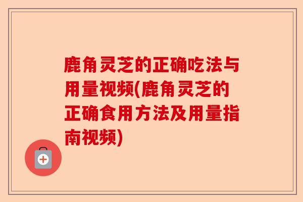 鹿角灵芝的正确吃法与用量视频(鹿角灵芝的正确食用方法及用量指南视频)-第1张图片-卓越灵芝孢子粉