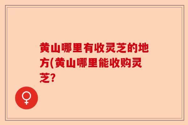 黄山哪里有收灵芝的地方(黄山哪里能收购灵芝?-第1张图片-卓越灵芝孢子粉 黄山哪里有收灵芝的地方(黄山哪里能收购灵芝?-第1张图片-卓越灵芝孢子粉