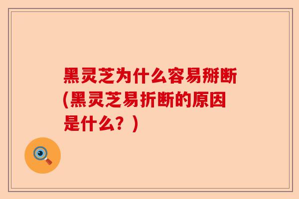 黑灵芝为什么容易掰断(黑灵芝易折断的原因是什么?)-第1张图片-卓越灵芝孢子粉 黑灵芝为什么容易掰断(黑灵芝易折断的原因是什么?)-第1张图片-卓越灵芝孢子粉