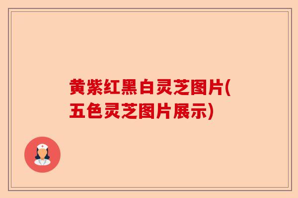 黄紫红黑白灵芝图片(五色灵芝图片展示)-第1张图片-卓越灵芝孢子粉