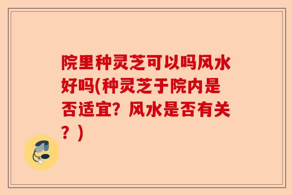 院里种灵芝可以吗风水好吗(种灵芝于院内是否适宜？风水是否有关？)-第1张图片-卓越灵芝孢子粉